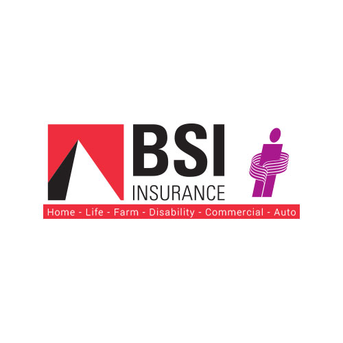 BSI Insurance Brokers Ltd.